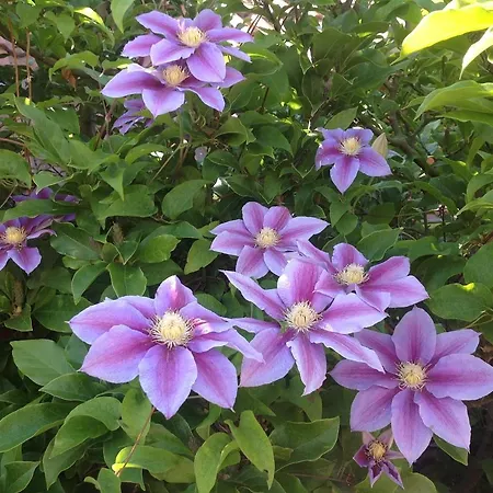 Messezimmer Laatzen Apo 3 * Ανόβερο